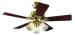 220 volts Ceiling Fans