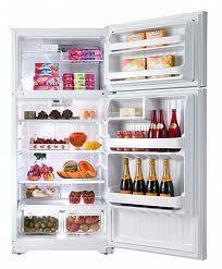 GE GTE17GBCWW 17 Cu. Ft. Top Mount Refrigerator 220 Volts