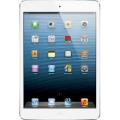 APPLE IPAD MINI 4G 64 GB