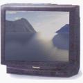 Panasonic TC-29GV12  Multi-System TV 29inch and Multi-System VCR 110-220 volts