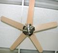 Hunter EX091 Ceiling fan 220 Volt 50Hz