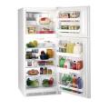 Frigidaire FGTD23V5W 23 Cu. Ft. Top Mount Refrigerator 220 Volt