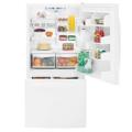 GE PDSE5NBYD WW 25.3 cu. ft. White 220 VOLTS BOTTOM FREEZER