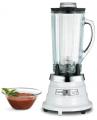 Waring WA800EGEX Commercial Single-Speed Food Blender 220-240 Volt/ 50/60 Hz