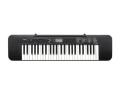 Casio CTK-240AD 49 Full-Size Keys Keyboard with AC Adapter 220 NOT FOR USA