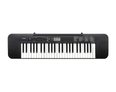 Casio CTK-240AD 49 Full-Size Keys Keyboard with AC Adapter 220 NOT FOR USA