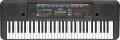 Yamaha PSRE253 Portable Keyboard 220 NOT FOR USA