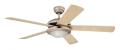 Westinghouse 7818240 Comet Ceiling Fan - Titanium 220 volts NOT FOR USA