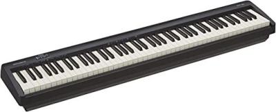 Roland FP-10 Digital Piano, 88-Key Digital Piano, Portable, Ideal for Home Use & Practise (Black) 220-240 volts Not FOR USA