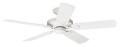 HUNTER EX326 CEILING FAN FOR 220 VOLTS