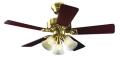 HUNTER EX493 CEILING FAN FOR 220 VOLTS