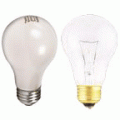 Light Bulb 100W