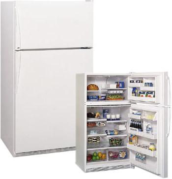 Amana 21CFT TR521VW Top Mount Refrigerator for 220/240 Volts